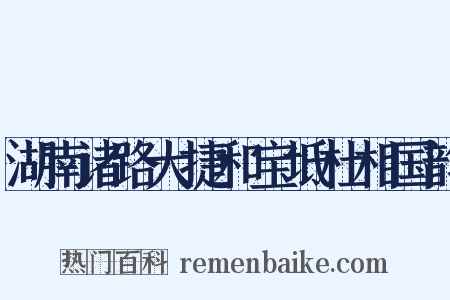 湖南诸路大捷和宝坻杜相国韵是什么意思的图片